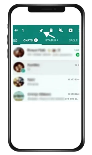 Pin More Chats